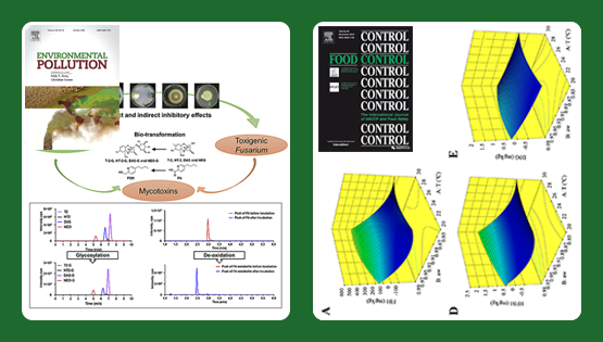 武爱波研究组在基于木霉的真菌毒素脱毒转化、玉米原料中真菌毒素污染风险预警等方面取得研究进展