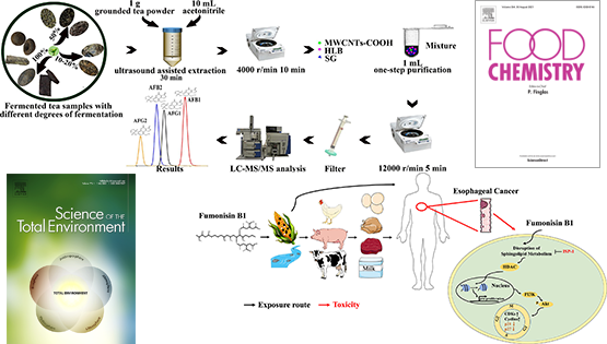 营养与健康所武爱波研究组在发酵茶黄曲霉毒素精准检测与伏马菌素致毒解毒新机制方面取得进展