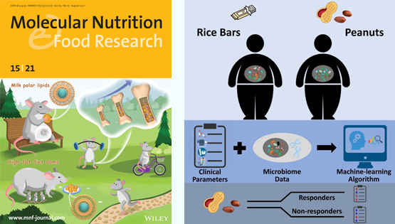 营养与健康所陈雁、林旭研究组利用肠道菌群分析和机器学习算法揭示精准营养在干预代谢综合征中的作用
