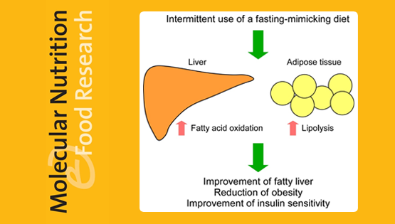营养与健康所陈雁研究组发现间歇性节食可以改善脂肪肝