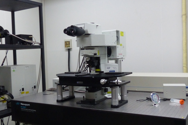 双光子共聚焦显微镜