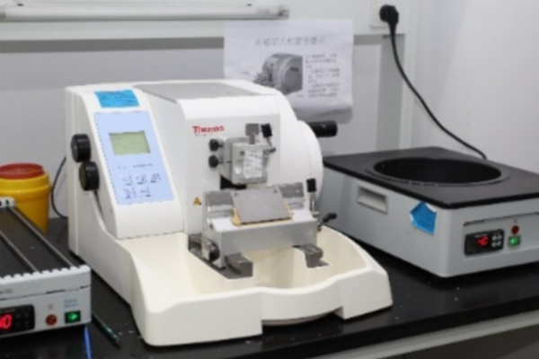 半自动轮转式石蜡切片机