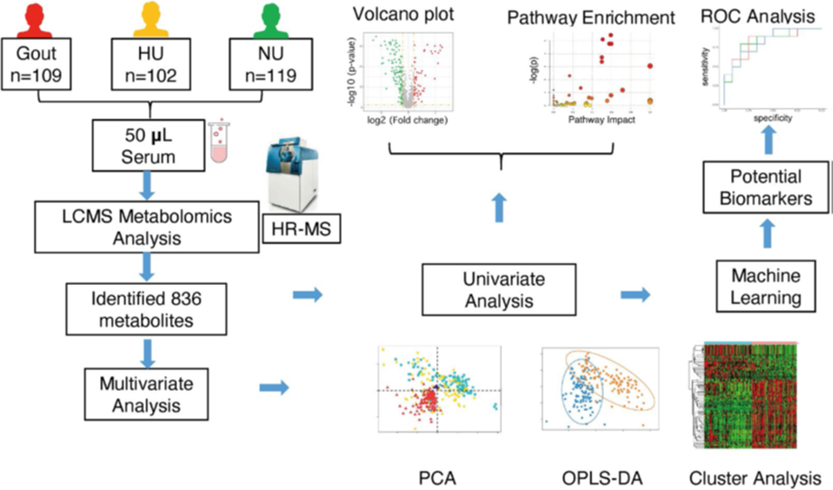 高分辨质谱系统与分析测试平台质谱板块对外服务内容简介