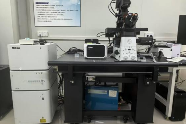 快速超分辨共聚焦显微镜（倒置）